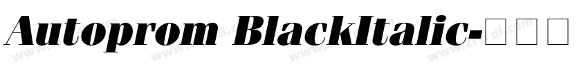 Autoprom BlackItalic字体转换